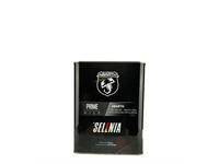 SELENIA ABARTH 10W50